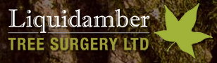 Liquidamber Tree Surgery  - Liquidamber Tree Surgery 